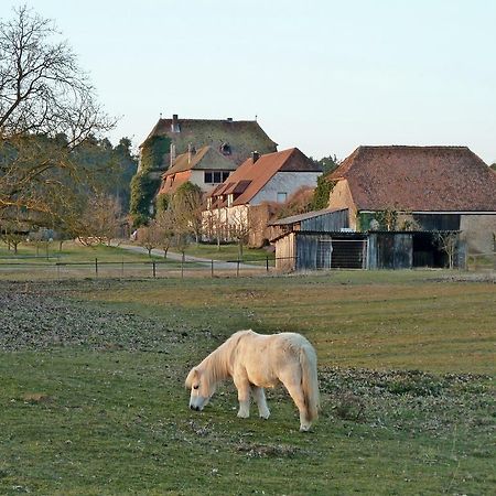 Elgersheimer Hof Volkach Eksteriør billede